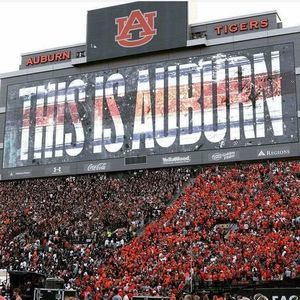 Meet your Posher, Larry